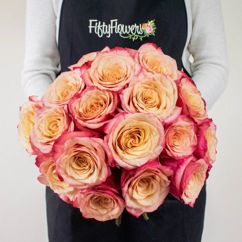 Buy Wholesale Bogart Bicolor Pink and Peach Rose in Bulk - FiftyFlo