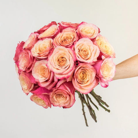 Bogart Sunset Rose Bunch in a Hand