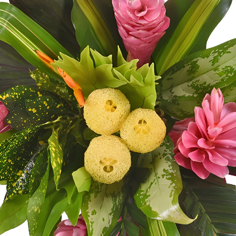 Tropical Dream Centerpiece