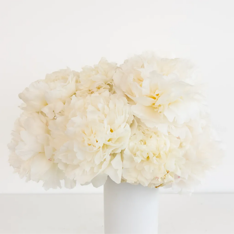 Bowl Of Cream Peonies Vase - Image