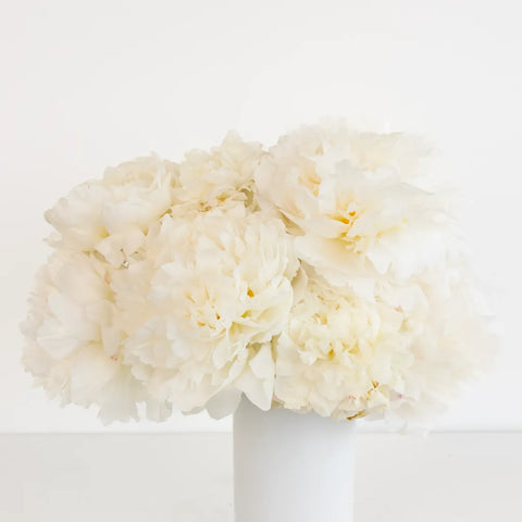 Bowl Of Cream Peonies For Mothers Day Vase - Image