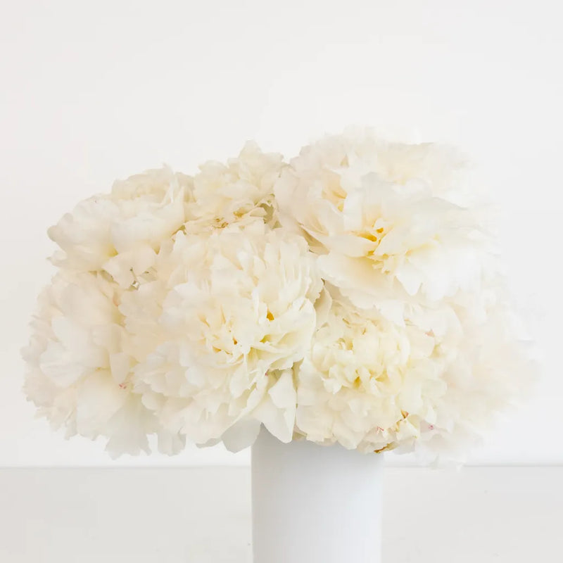 Bowl Of Cream Peonies For Mothers Day Vase - Image