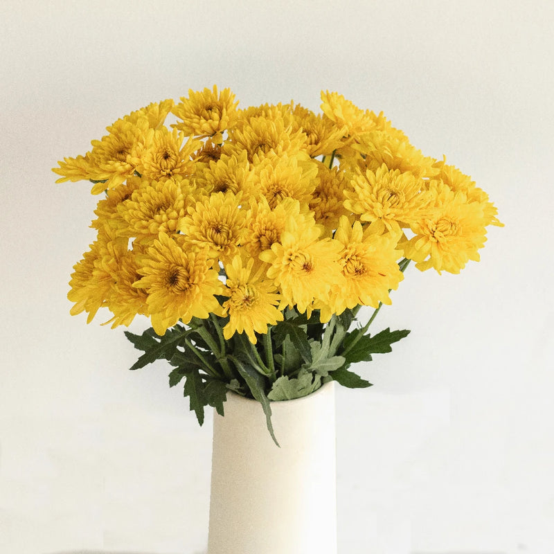 Brassy Yellow Dahlia Style Cushion Flower Vase - Image