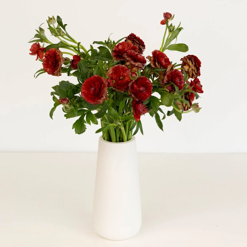 Brick Red Butterfly Ranunculus Flower Vase - Image