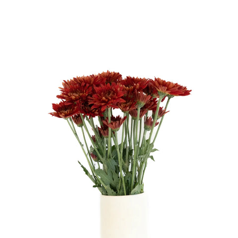 Brick Red Cushion Flower Apron - Image