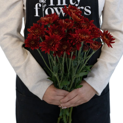 Brick Red Cushion Flower Apron - Image