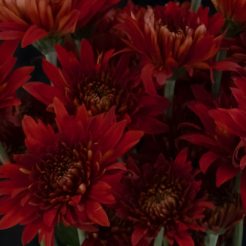 Brick Red Cushion Flower Vase - Image