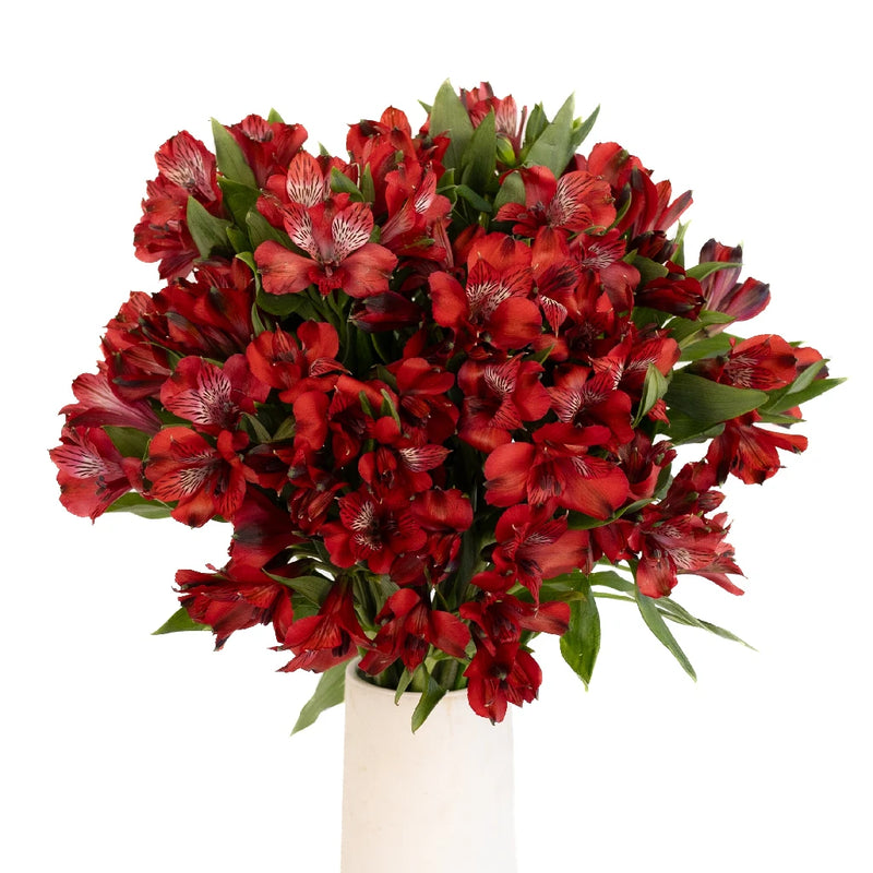 Brick Red Peruvian Lilies Vase - Image
