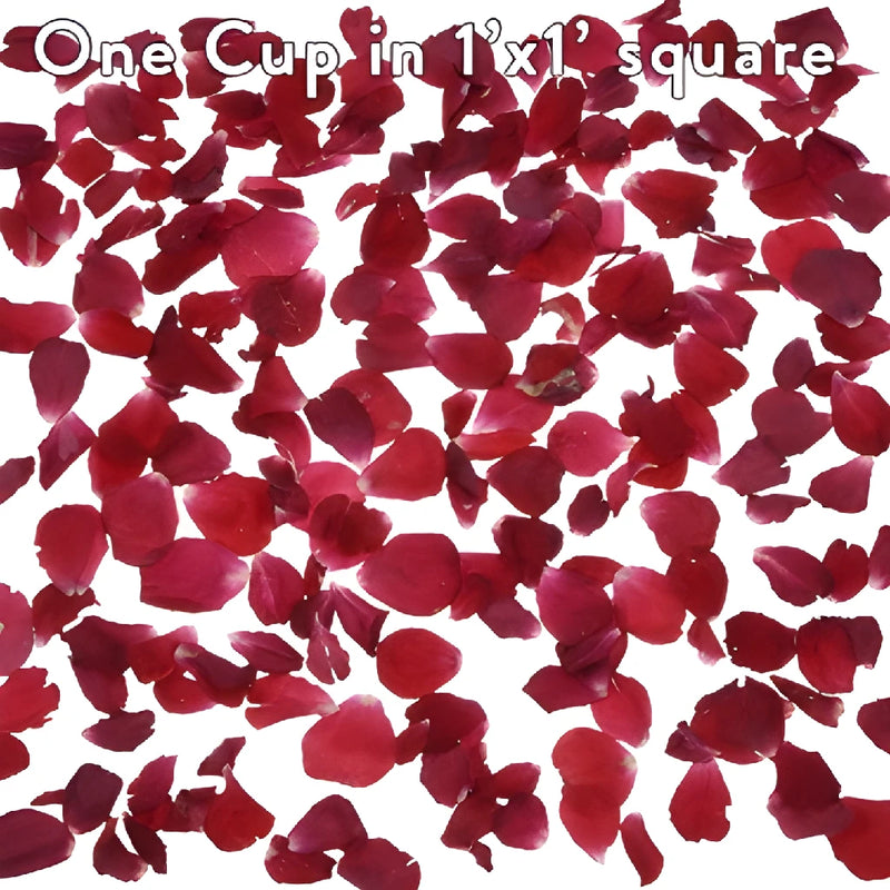 Red Rose Petals for Wedding