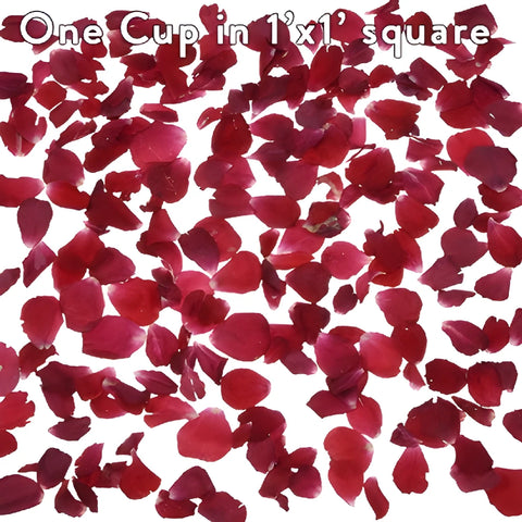Red Rose Petals for Wedding