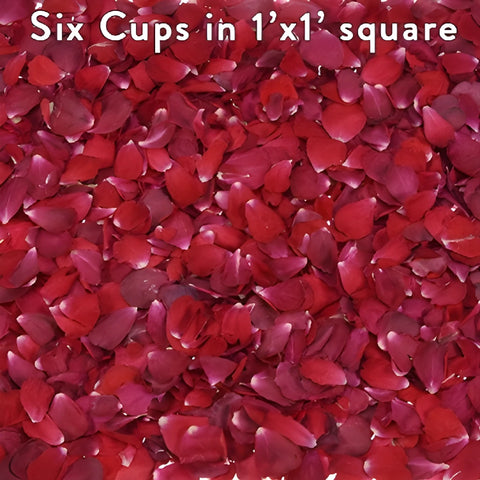 Red Dried Rose Petals for Weddings