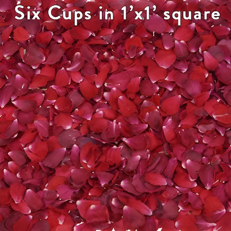 Red Dried Rose Petals for Weddings
