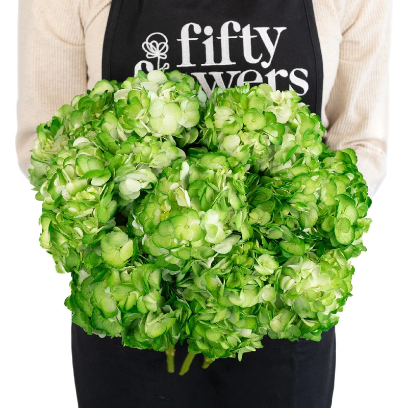 Bright Green Airbrushed Hydrangea Apron - Image