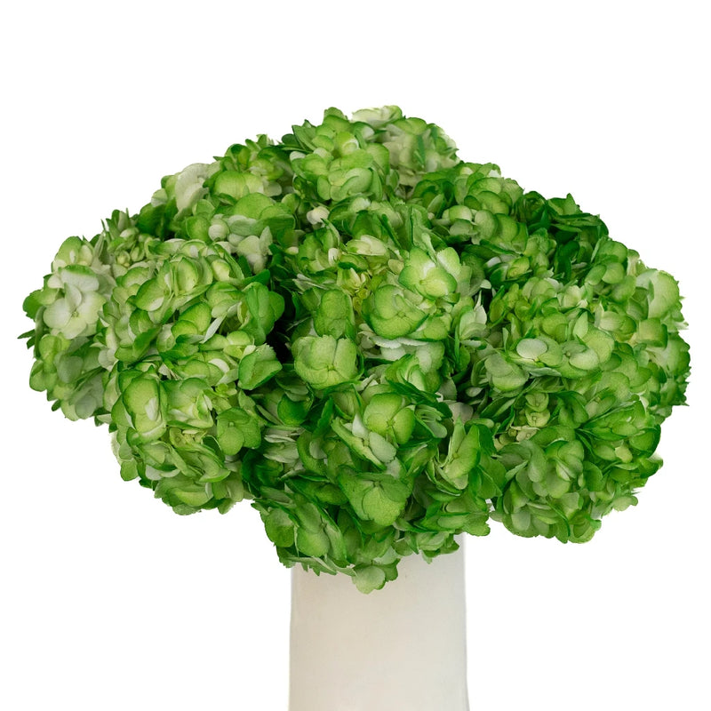 Bright Green Airbrushed Hydrangea Vase - Image