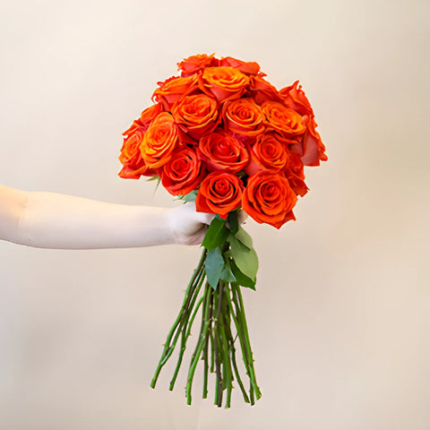 Fire Orange Santana Rose