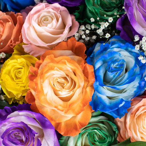 Bright Rainbow Flower Bouquet Up Close