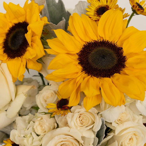 Bright Sky Sunflower Centerpieces Close Up - Image