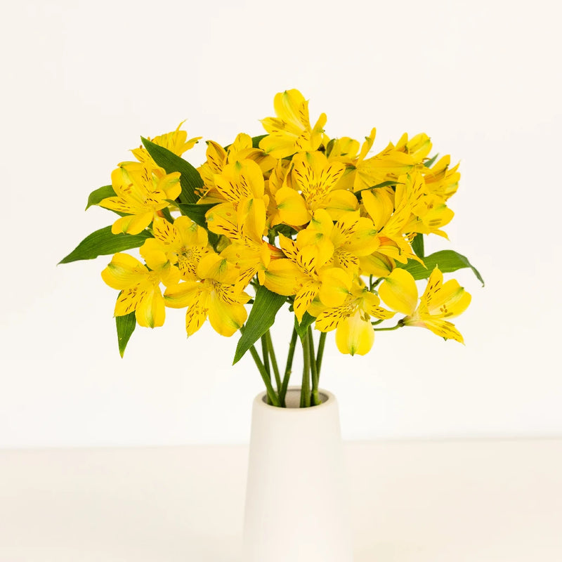 Bright Yellow Alstroemeria Flower Vase - Image