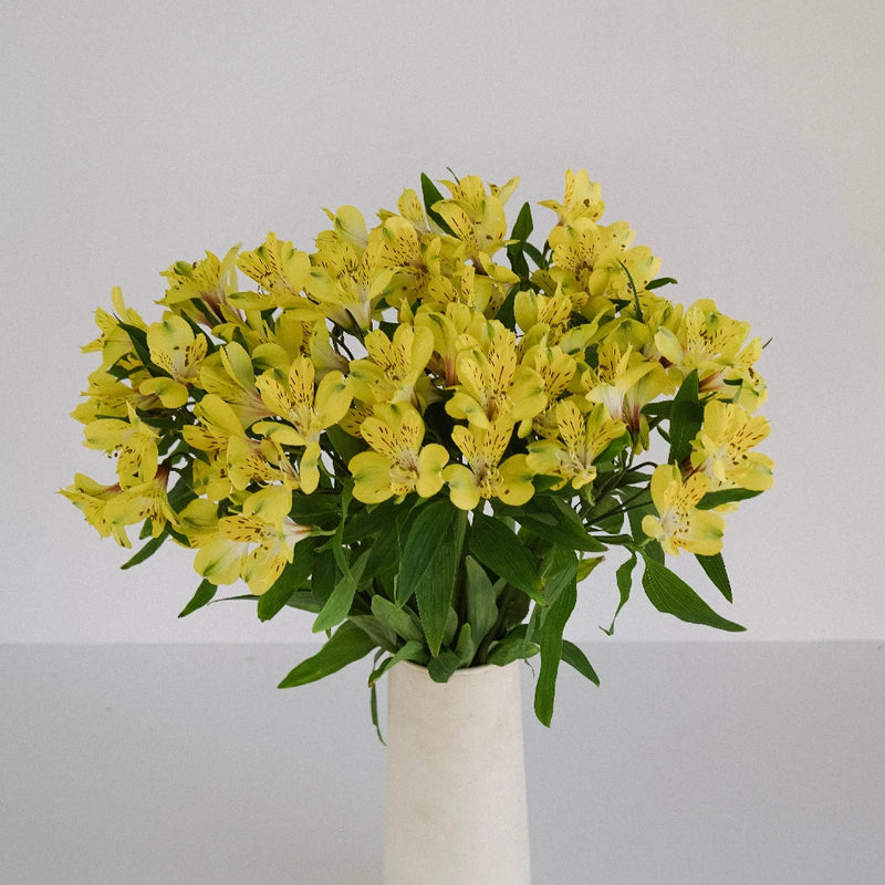 Bright Yellow Alstroemeria Flower Vase - Image