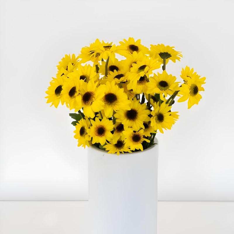 Bright Yellow Novelty Viking Pom Flower Apron - Image