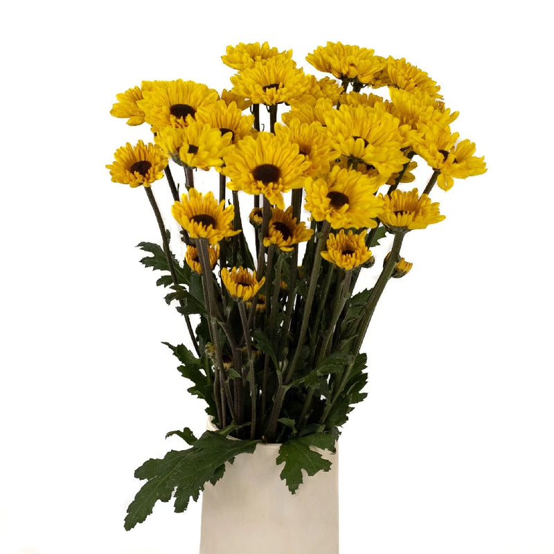 Bright Yellow Novelty Viking Pom Flower Vase - Image