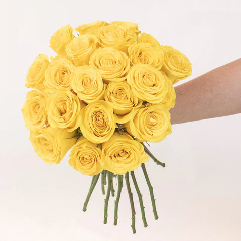 Brighton Yellow Rose Bunch in a Hand