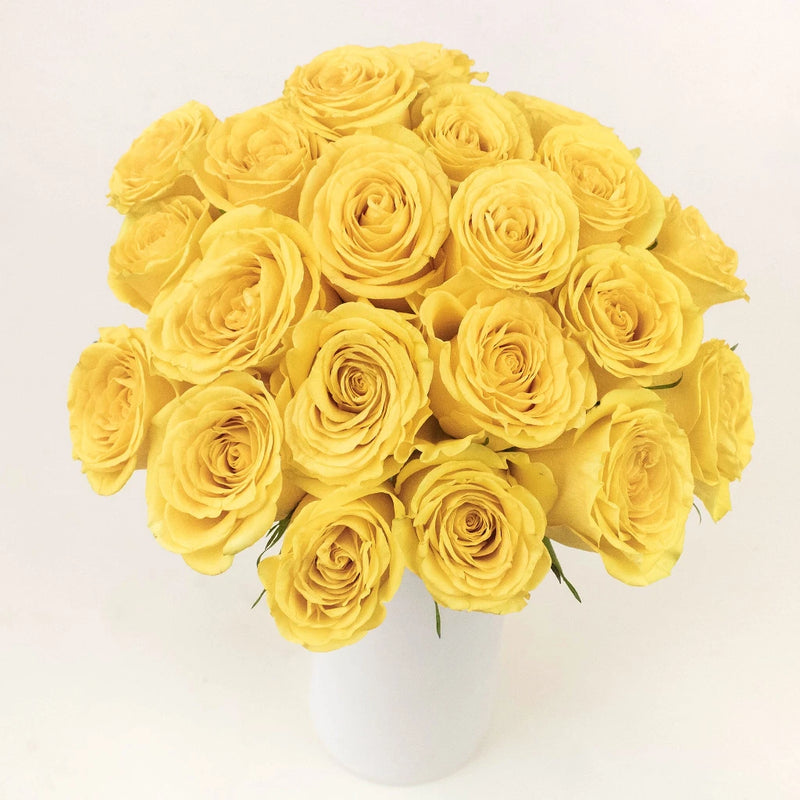 Brighton Yellow Wholesale Roses In a Vase