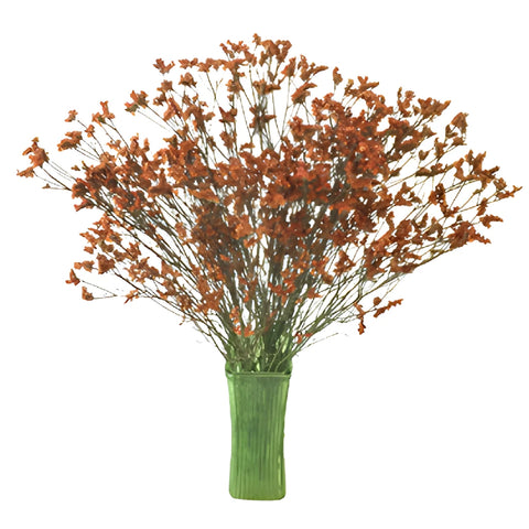 Burnt Orange Airbrushed Limonium Flowers