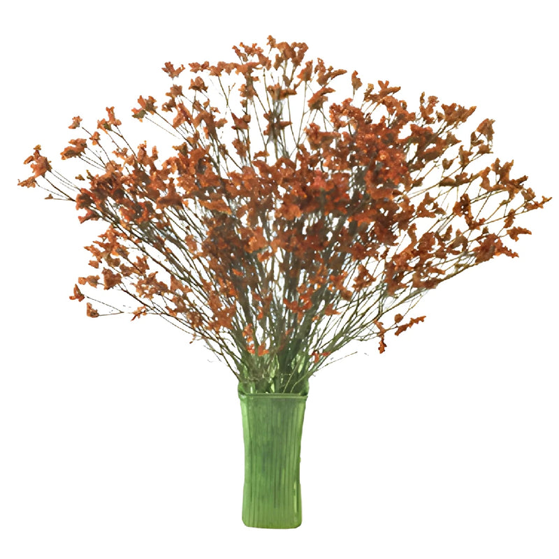 Burnt Orange Airbrushed Limonium Flowers