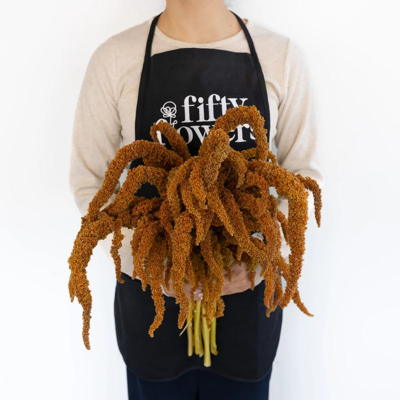 Bronze Upright Amaranthus Fresh Greens Apron - Image