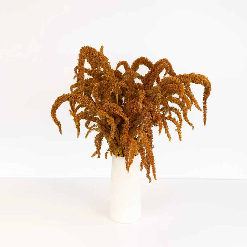 Bronze Upright Amaranthus Fresh Greens Vase - Image
