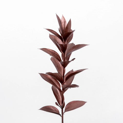 Bronzed Rose Gold Metallic Ruscus Stem - Image