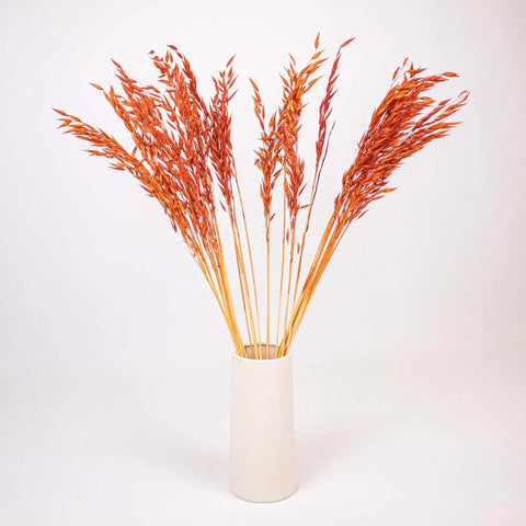 Brown Dried Oats Flower Bunch in Vase