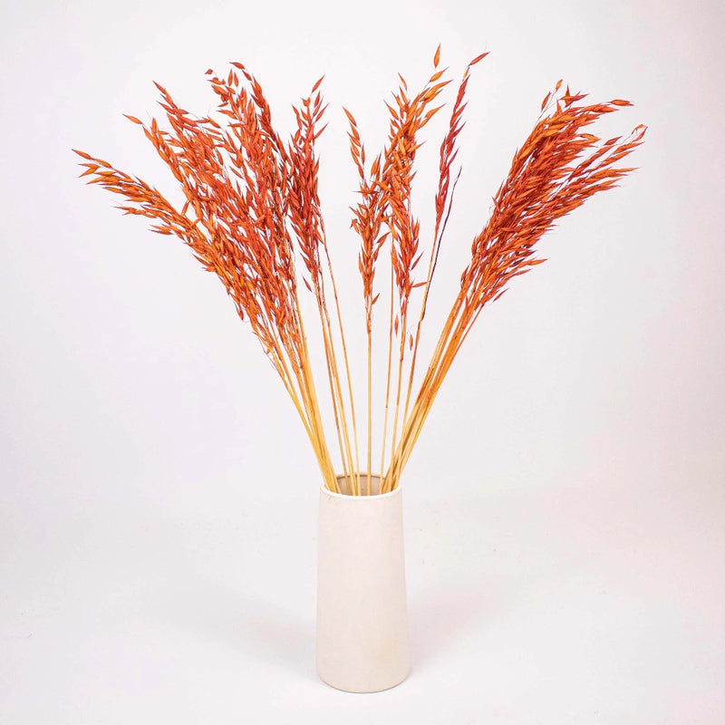 Brown Dried Oats Flower Bunch in Vase