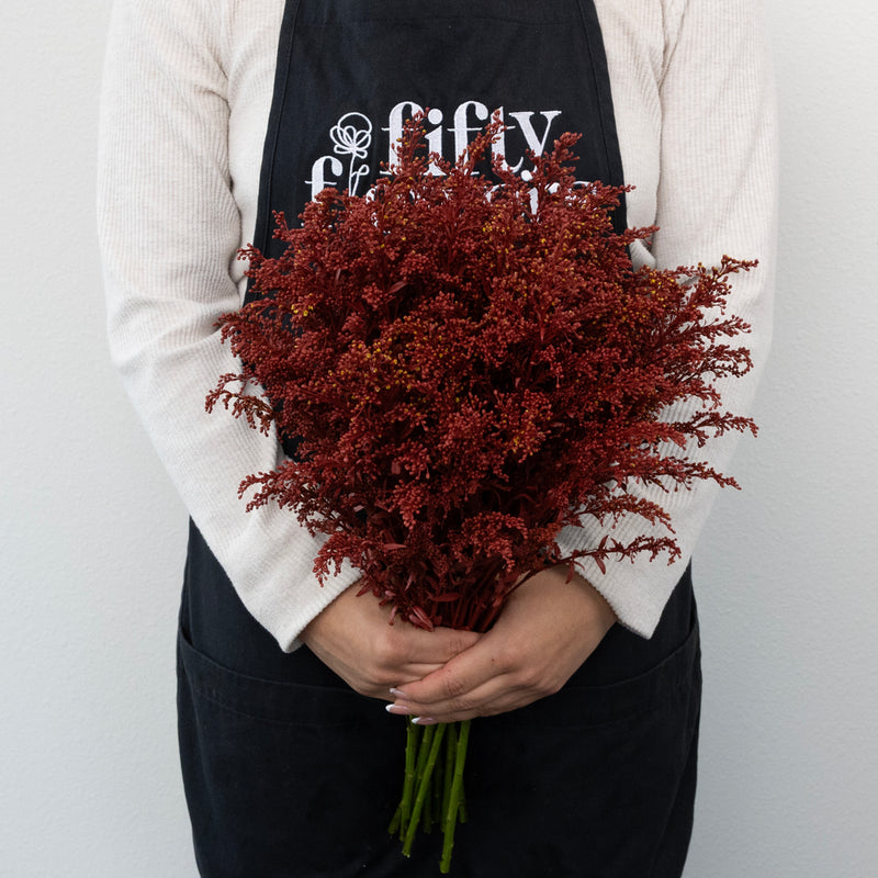 Brown Spice Tinted Solidago Flowers Apron - Image
