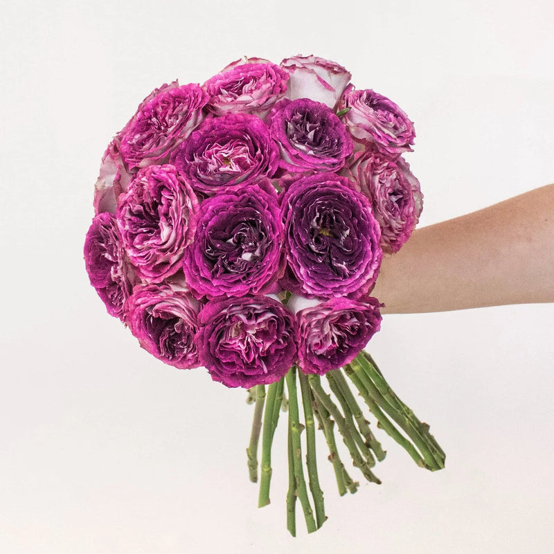 Brujas Purple Garden Rose Bunch