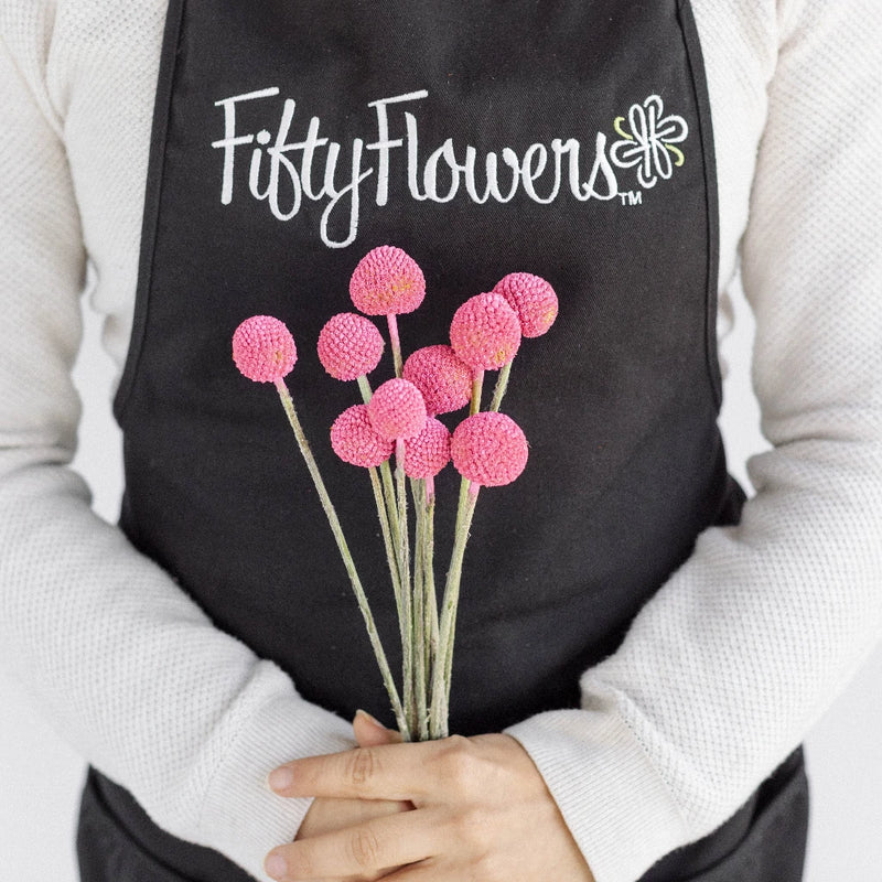 Bubble Gum Pink Bulk Billy Balls Apron - Image