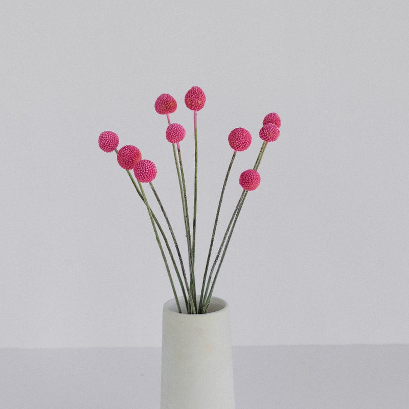Bubble Gum Pink Bulk Billy Balls Vase - Image