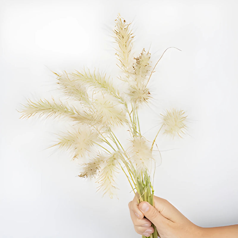 Wholesale greenery little bunny fountain grass filler flowers sold as bulk