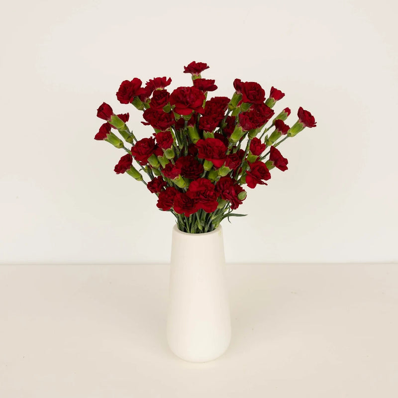 Burgundy Mini Carnation Flowers Vase - Image