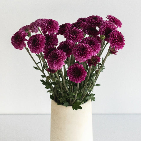 Burgundy Purple Micro Pom Cushion Vase - Image