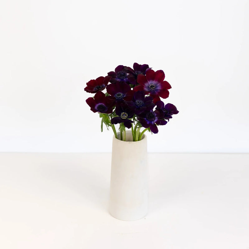Burgundy Wine Fresh Cut Anemone Flower Vase - Image