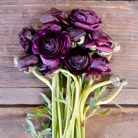 Save The Ranunculus Growers DIY Flower Kit