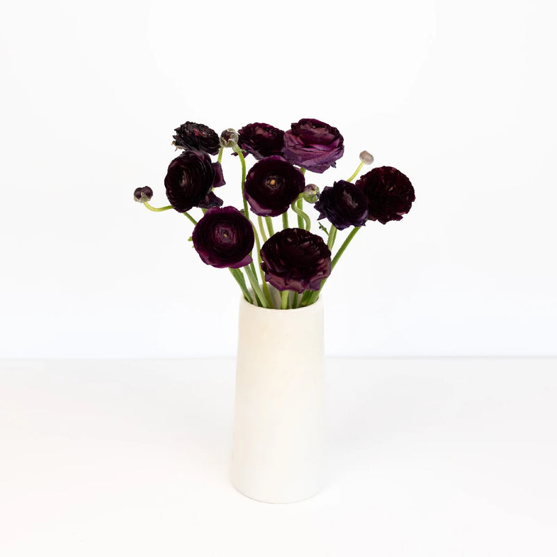 Burgundy Wine Ranunculus Vase - Image