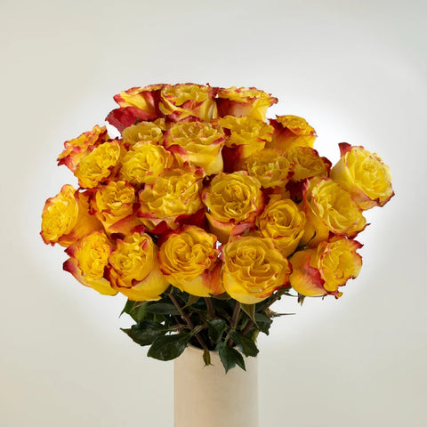 Burning Love Garden Rose Vase - Image