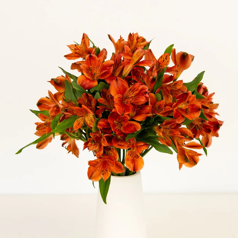 Burnt Red Fresh Peruvian Lilies Vase - Image