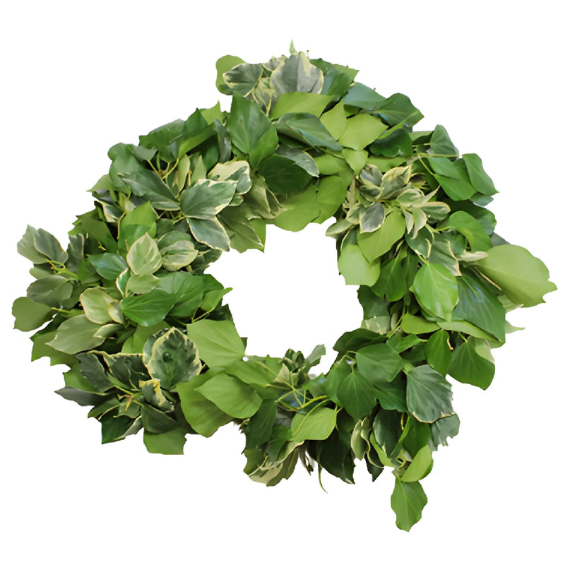 Bush Ivy Green Fresh Garland