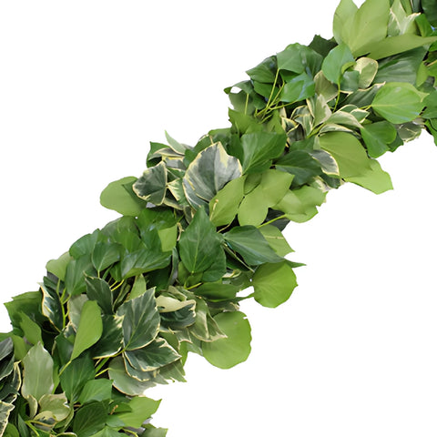 Bush Ivy Green Fresh Garland