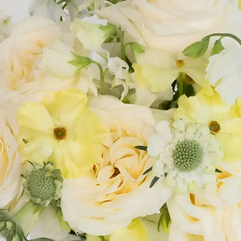 Butter Yellow Diy Flower Kit Close Up - Image