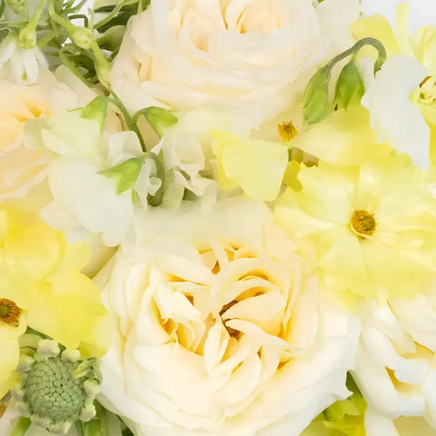 Butter Yellow Flower Bouquet Stem - Image